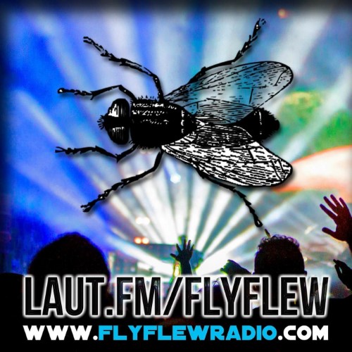 Flyflewradio