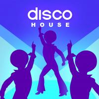 Disco House Радио - RadioSpinner