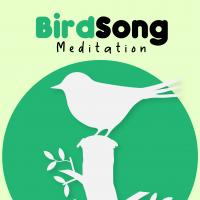 Пение птиц и Медитация Радио - RadioSpinner