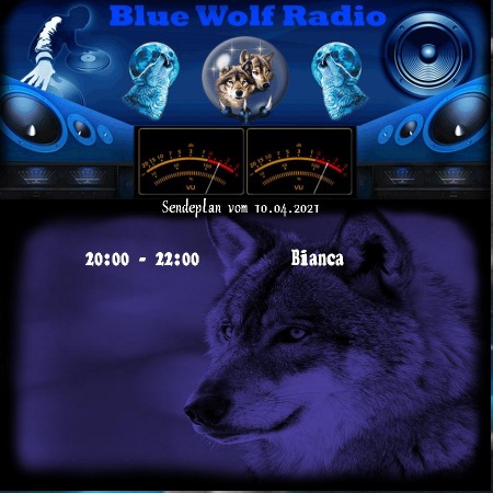 Blue Wolf Radio
