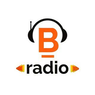 Benavides Radio FM 100.3
