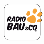 Radio 105 - Bau & Co