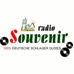 Schwany Souvenir Radio