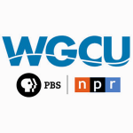 WGCU-FM - 90.1 FM